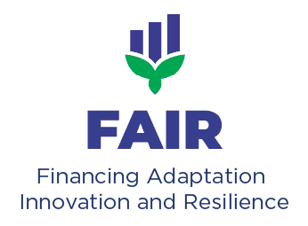 Financing Adaptation Innovation and Resilience